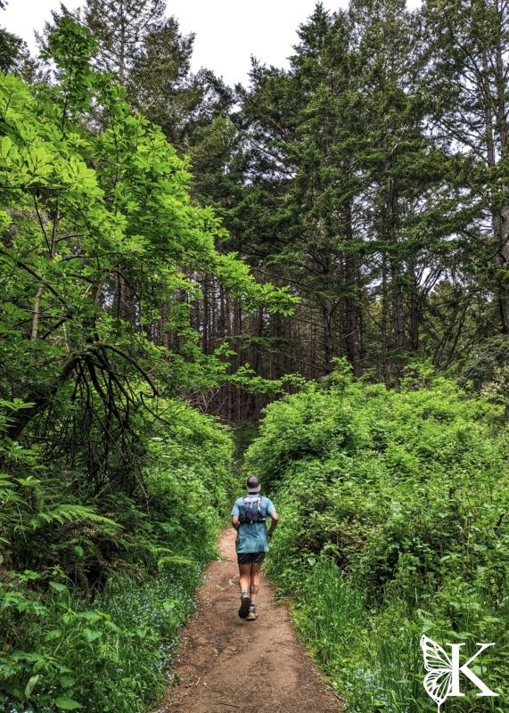 On Coastal Trail