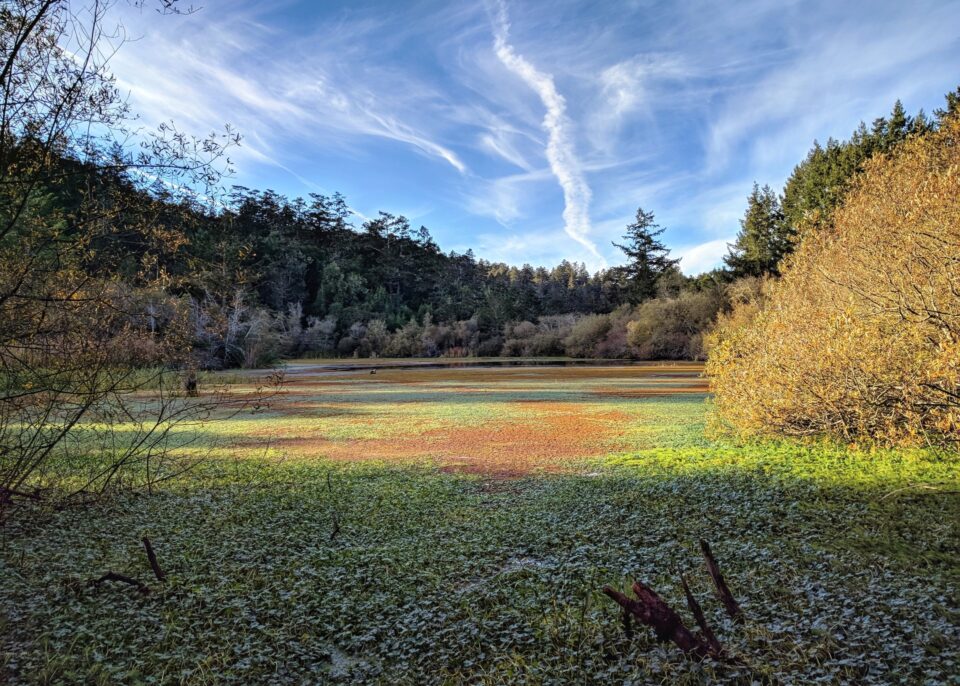 Pond at Five Brooks