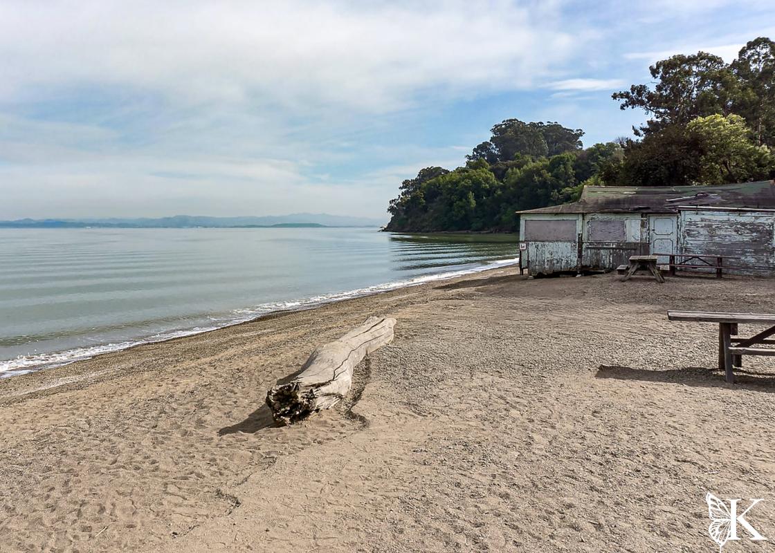 China Camp Beach