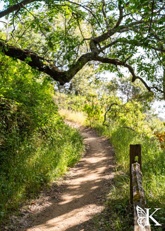 Bay View Trail