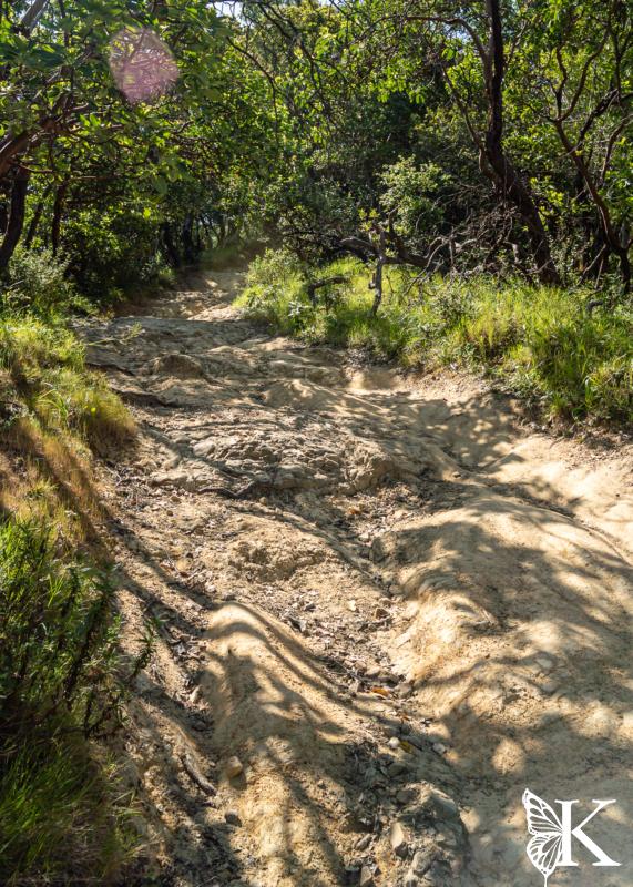 Ridge Fire Trail - Very Rough