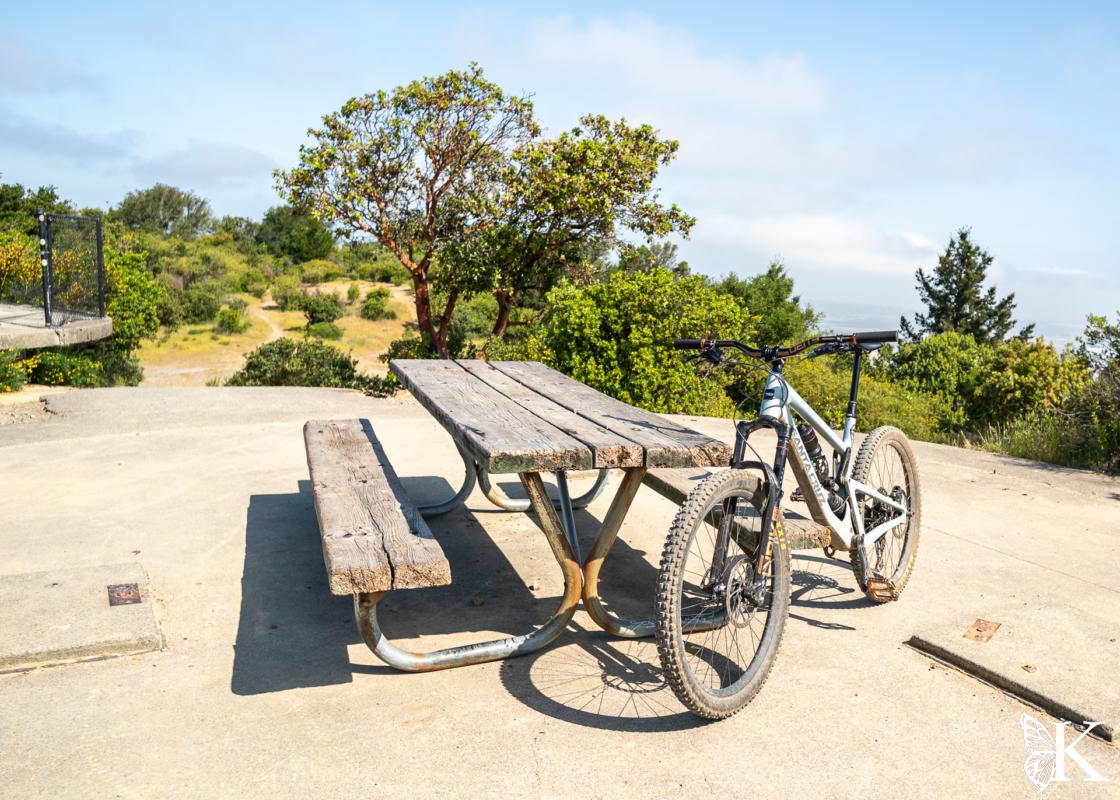 The top of China Camp